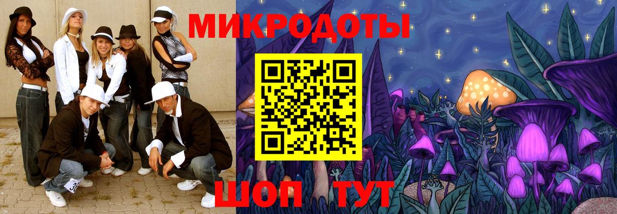 купить наркотики цена  Вход с VPN  Северобайкальск  Псилоцибиновые грибы ЛСД 