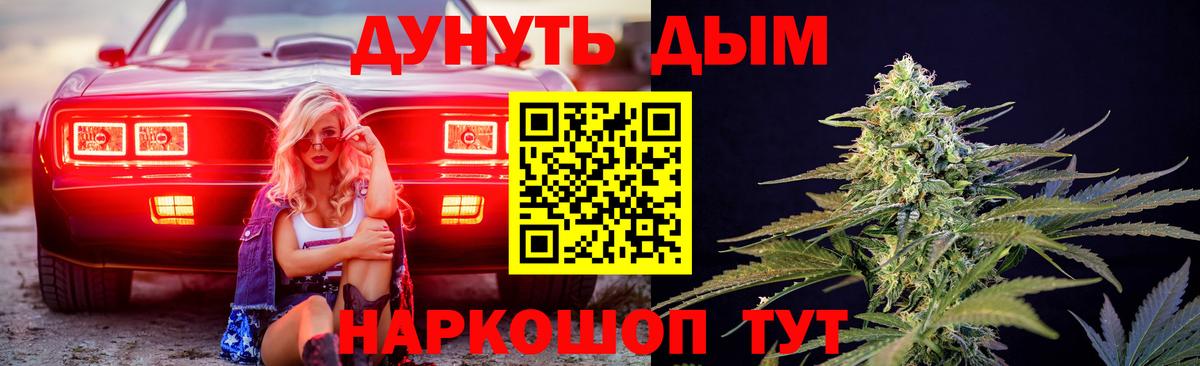 Конопля сатива Северобайкальск